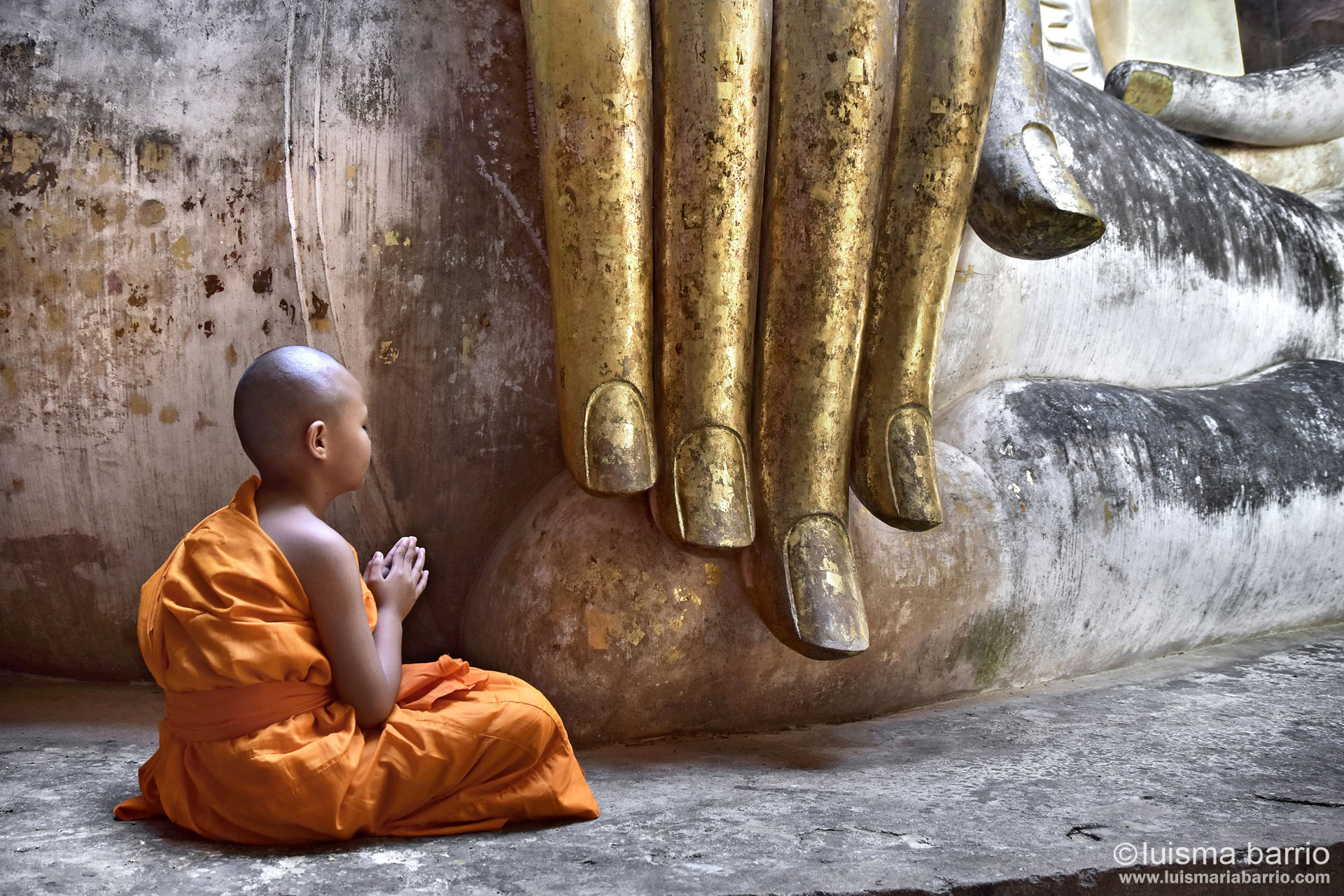 monk and big budha